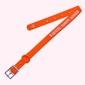 "Warning: Sloppy Kisser" Orange Silicone Collar (Sie: Medium)