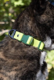 Mossy Pine Waterproof Dog Collar (Sie: 11 - 13 inch)