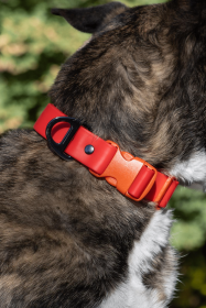 Scarlet Peaks Waterproof Dog Collar (Sie: 11 - 13 inch)