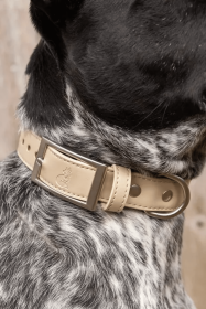 Champagne Fizz Vegan Leather Dog Collar (Sie: 11 - 13 inch)