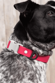 Red Mountain Syrah Waterproof Dog Collar (Sie: 11 - 13 inch)