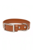 Sierra Sunrise Vegan Leather Dog Collar