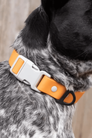 Crimson Glow Waterproof Dog Collar (Sie: 15 - 17 inch)