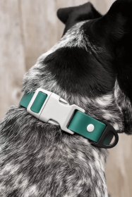 Siberian Spruce Waterproof Dog Collar (Sie: 11 - 13 inch)