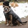 Alpine Extreme Cold Puffer Coat – Insulated Dog Jacket