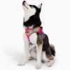 American River Choke Free Dog Harness – Comfortable & Secure Fit