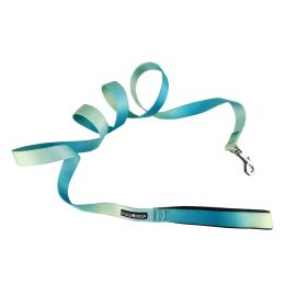 American River Ombre Leash – Stylish Gradient Dog Leash for Everyday Walks (Color: Aruba Blue, Size: 5/8 inches wide x 4 feet long)