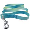 American River Ombre Leash – Stylish Gradient Dog Leash for Everyday Walks