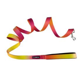 American River Ombre Leash – Stylish Gradient Dog Leash for Everyday Walks (Color: Raspberry Pink and Orange, Size: 5/8 inches wide x 4 feet long)