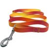 American River Ombre Leash – Stylish Gradient Dog Leash for Everyday Walks