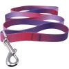 American River Ombre Leash – Stylish Gradient Dog Leash for Everyday Walks