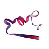 American River Ombre Leash – Stylish Gradient Dog Leash for Everyday Walks