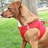 American River Choke Free Dog Harness – Comfortable & Secure Fit