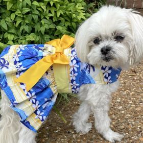 Catching Waves Harness Dress – With Matching Leash (Size: X-Small)