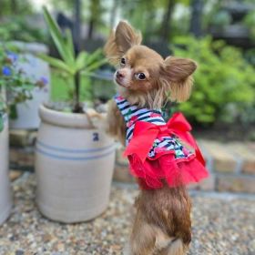 Cherry Stripe Harness Dress – With Matching Leash (Size: X-Small)