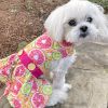 Citrus Slice Harness Dress – With Matching Leash