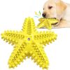 Sea Star Shaped Dog Toothbrush with Sound – Pet Teeth Grinding Toy