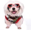 Pet Goggles - UV Protection Waterproof Windproof Anti-Fog Glasses