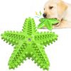 Sea Star Shaped Dog Toothbrush with Sound – Pet Teeth Grinding Toy