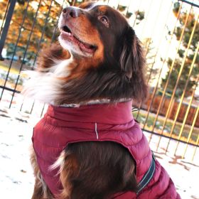 Alpine Extreme Cold Puffer Coat – Insulated Dog Jacket (Color: Burgundy, Size: X-Large)