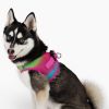 American River Choke Free Dog Harness – Comfortable & Secure Fit