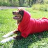 Flex-Fit Hoodie – Comfortable & Stylish Pet Hoodie