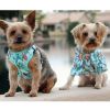 Surfboards & Palms Hawaiian Camp Shirts – Tropical Pet Apparel