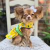 Ladybugs and Daisies Dog Dress – With Matching Leash