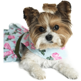 Pink Rose Harness Dress – With Matching Leash (Size: XLarge)