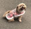 Sherpa-Lined Dog Harness Coat – Warm & Cozy Pet Jacket