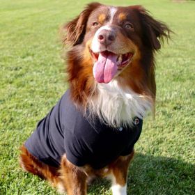 Polos Solid – Classic Pet Apparel (Color: Black, Size: X-Large)