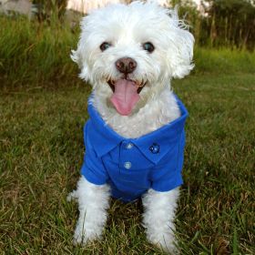 Polos Solid – Classic Pet Apparel (Color: Nautical Blue, Size: X-Large)