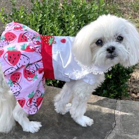 Strawberry Picnic Harness Dress – With Matching Leash (Size: XLarge)