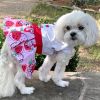 Strawberry Picnic Harness Dress – With Matching Leash