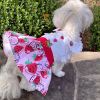 Strawberry Picnic Harness Dress – With Matching Leash