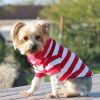 Polos Striped – Stylish Pet Polo Shirt