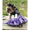 Too Cute To Spook Halloween Dog Dress – Festive Pet Apparel