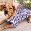 Cherry Stripe – Stylish Pet Apparel