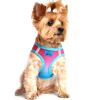 American River Choke Free Dog Harness – Comfortable & Secure Fit