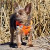 American River Choke Free Dog Harness – Comfortable & Secure Fit