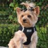 American River Choke Free Dog Harness – Comfortable & Secure Fit