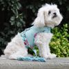 Cool Mesh Dog Harness with Leash – Lightweight & Breathable