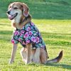 Hawaiian Camp Shirt – Tropical Pet Apparel