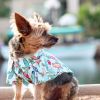 Surfboards & Palms Hawaiian Camp Shirts – Tropical Pet Apparel