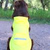 Packable Raincoat – Lightweight & Portable Pet Jacket