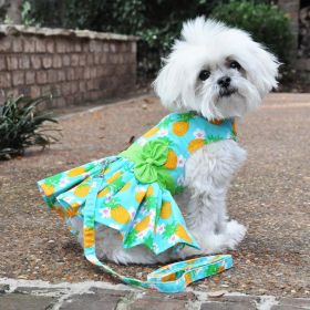 Pineapple Luau Dog Harness Dress – With Matching Leash (Size: XLarge)