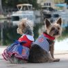 Sailor Girl Dog Dress – With Matching Leash