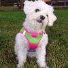 American River Choke Free Dog Harness – Comfortable & Secure Fit