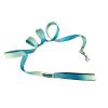 American River Ombre Leash – Stylish Gradient Dog Leash for Everyday Walks