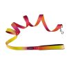 American River Ombre Leash – Stylish Gradient Dog Leash for Everyday Walks